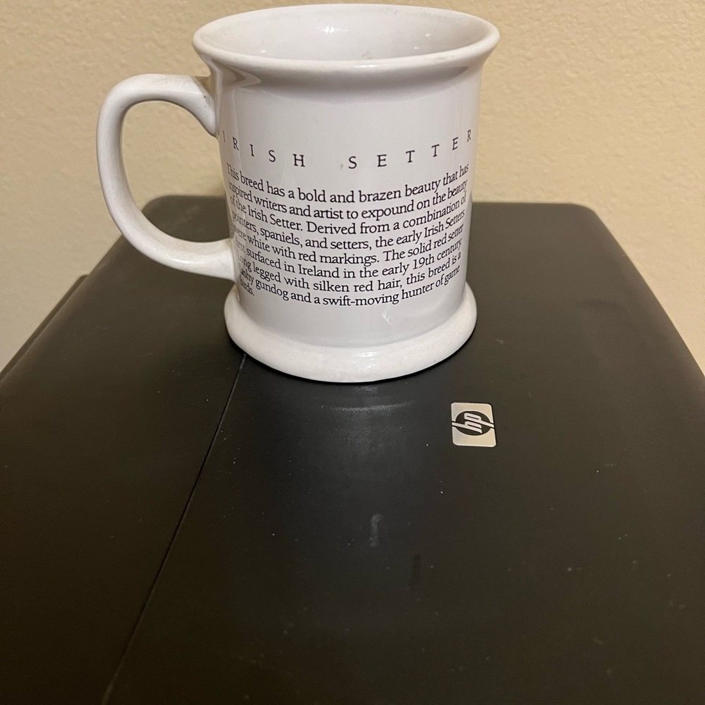 Irish Setter mug like new $20